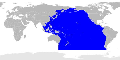 海 は英語でsea Ocean 世界各地の海の英語名称も一覧で紹介 英語学習徹底攻略